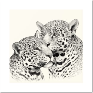 Jaguar Couple Love Posters and Art